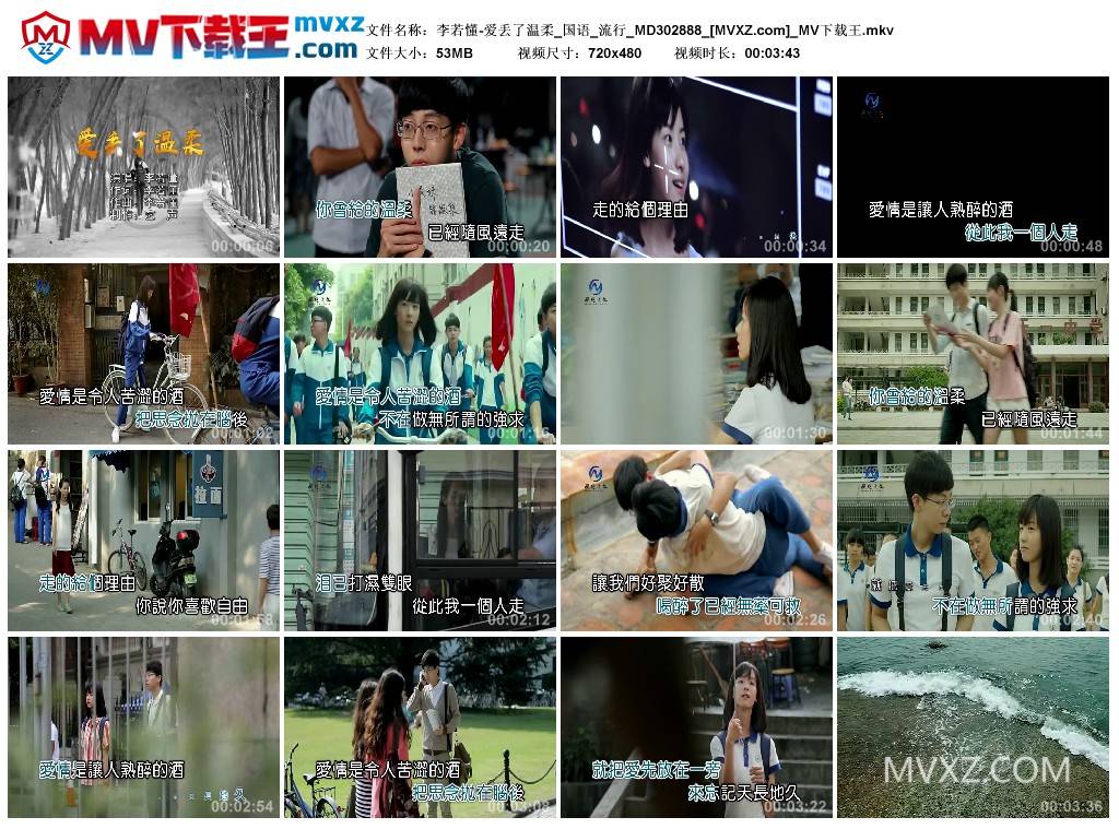 李若懂-爱丢了温柔_国语_流行_MD302888